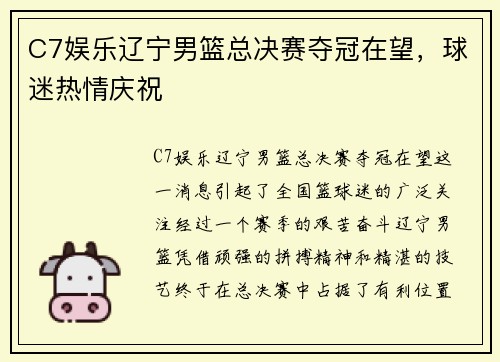 C7娱乐辽宁男篮总决赛夺冠在望，球迷热情庆祝