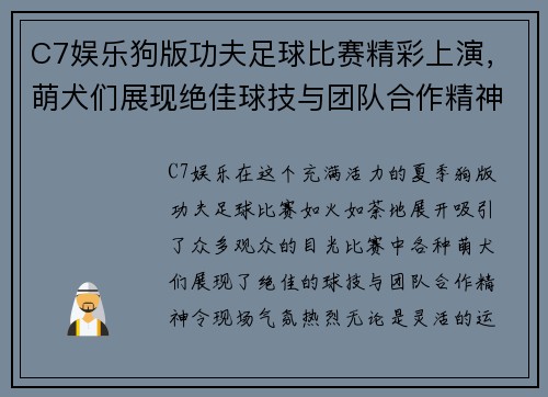 C7娱乐狗版功夫足球比赛精彩上演，萌犬们展现绝佳球技与团队合作精神